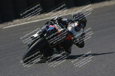 media/Sep-07-2025-CRA (Sun) [[6d6582c22b]]/Race 12/